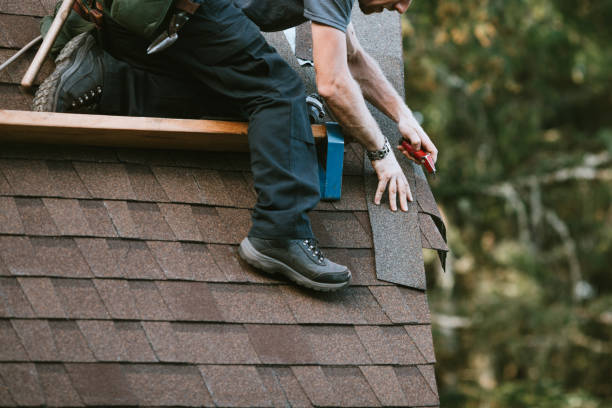Best Roof Gutter Cleaning  in Fairlawn, OH